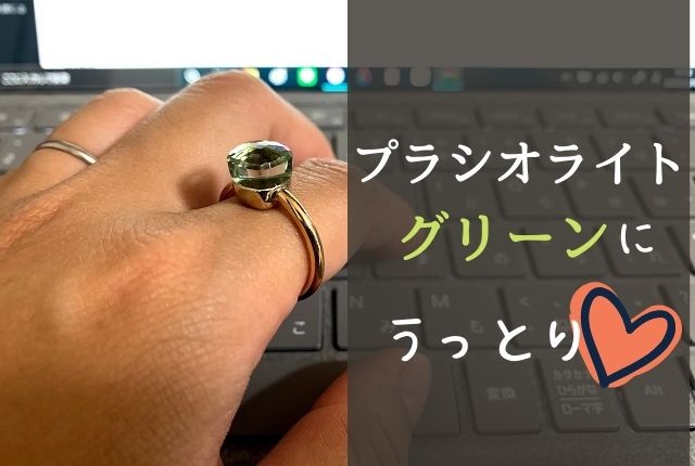 ポメラートのプチ「プラシオライト」の魅力を語ります